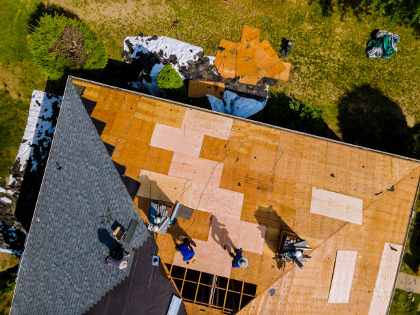 Best New Roof Installation  in Williamston, MI