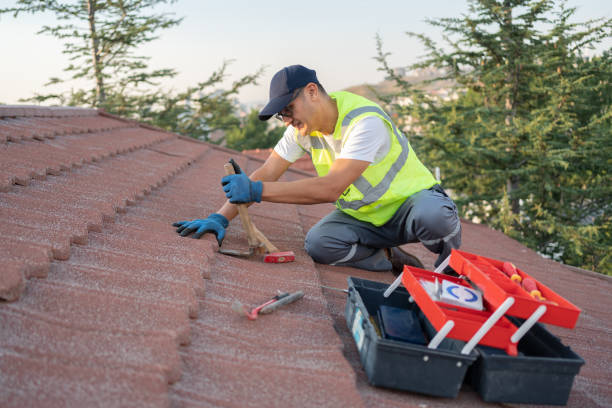 Best Roof Gutter Cleaning  in Williamston, MI