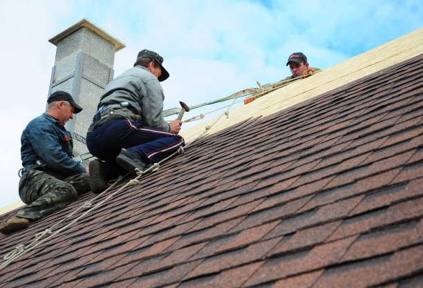 Best Storm Damage Roof Repair  in Williamston, MI