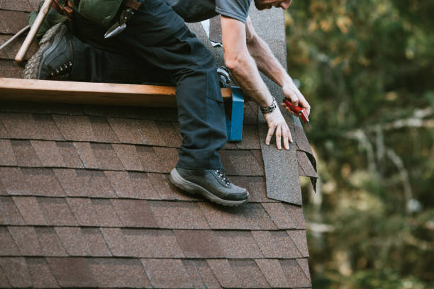 Best Roof Restoration Services  in Williamston, MI