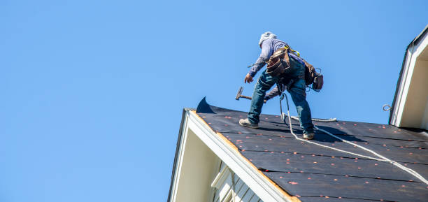 Roof Waterproofing Services in Williamston, MI